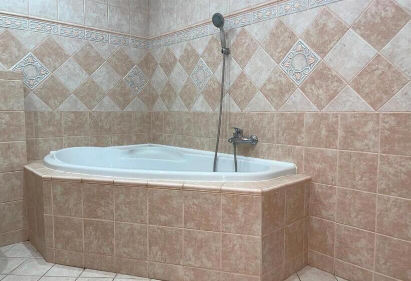 バルコニー付き1ベッドルームアパートメント, Pálava House Mikulov