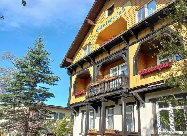 Standard Yhden Hengen Huone, Gasthof Edelweiss