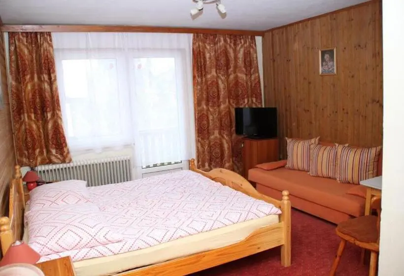 Standard Yhden Hengen Huone, Gasthof Edelweiss