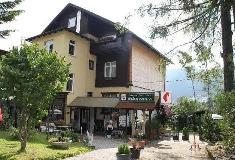 Standard Yhden Hengen Huone, Gasthof Edelweiss