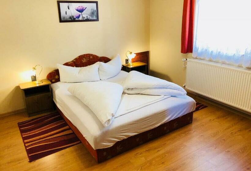 Номер Стандарт, Szűts Panzió