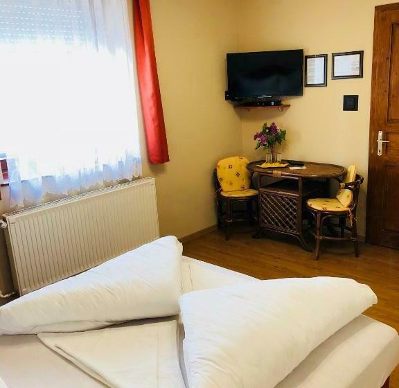 Номер Стандарт, Szűts Panzió