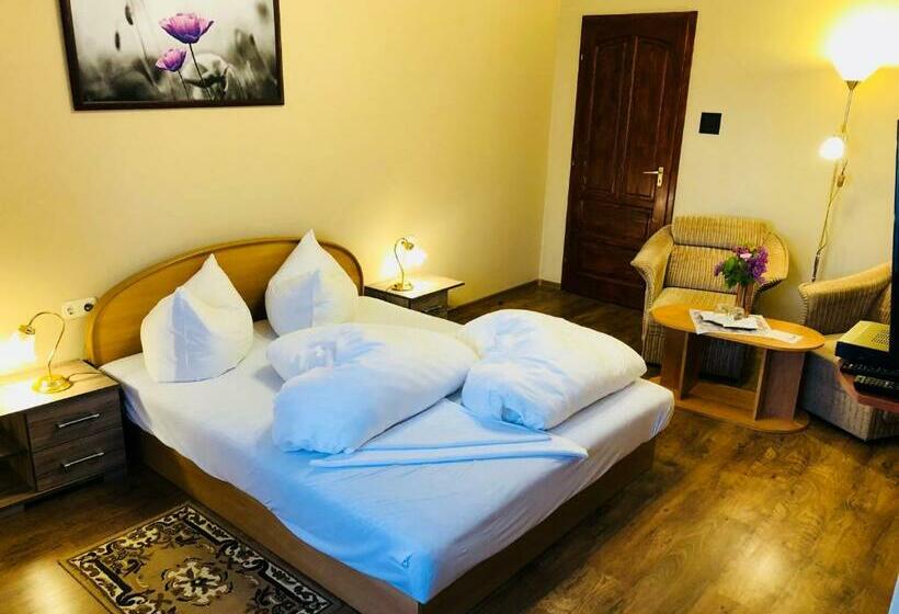 Номер Стандарт, Szűts Panzió