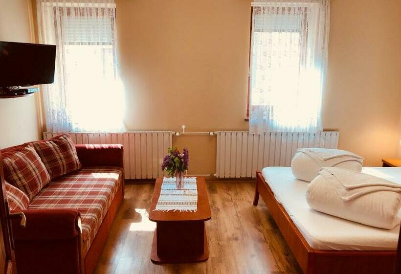 Номер Стандарт, Szűts Panzió