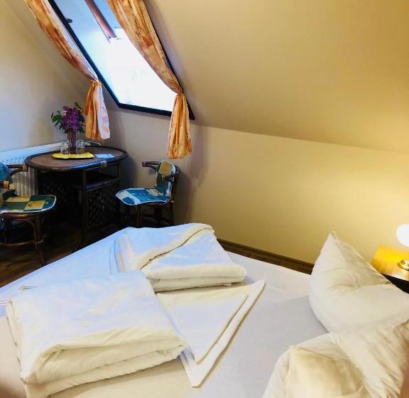 Номер Стандарт, Szűts Panzió