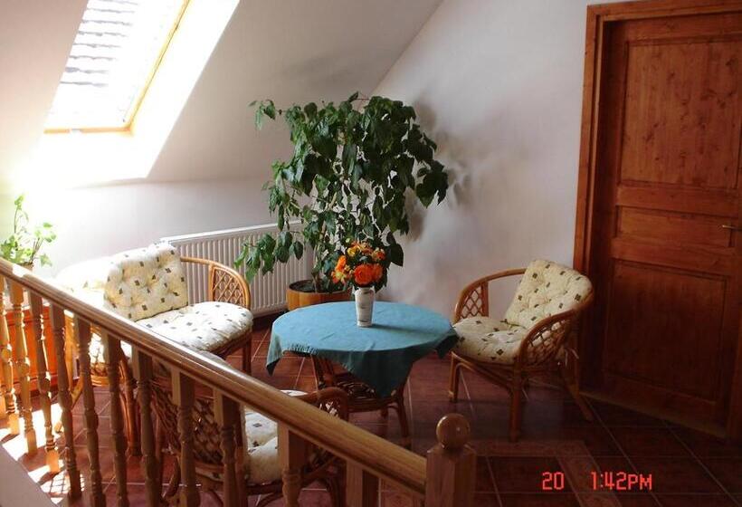 Номер Стандарт, Szűts Panzió