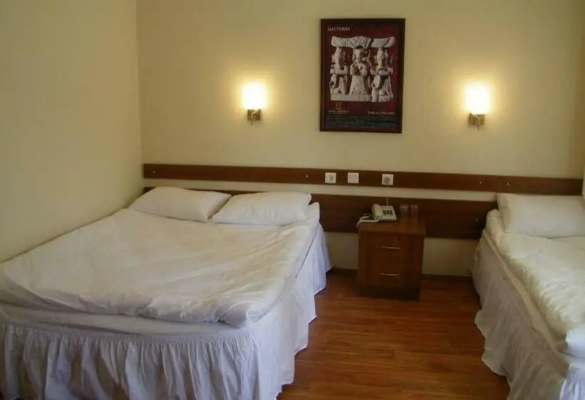 Standard Kolmen Hengen Huone, Aşıkoğlu