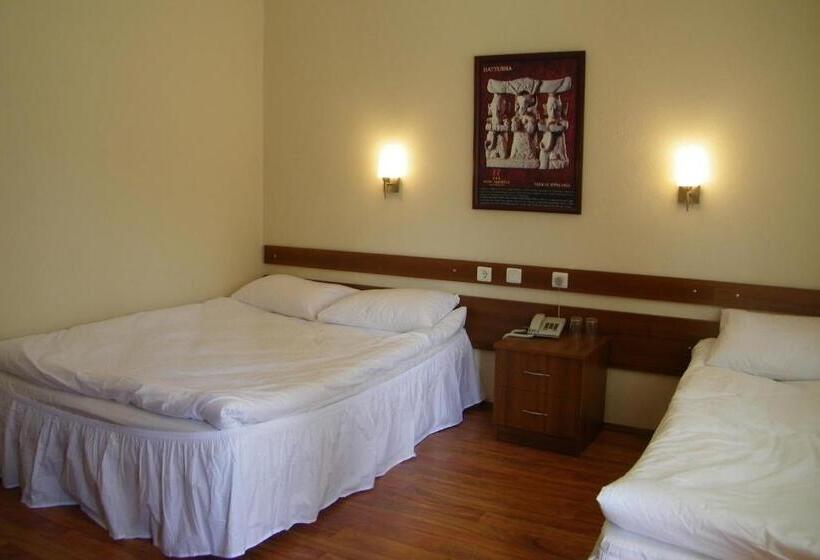 חדר סטנדרט, Aşıkoğlu