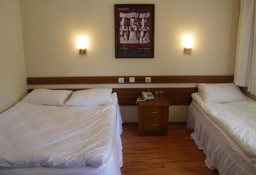 חדר סטנדרט, Aşıkoğlu