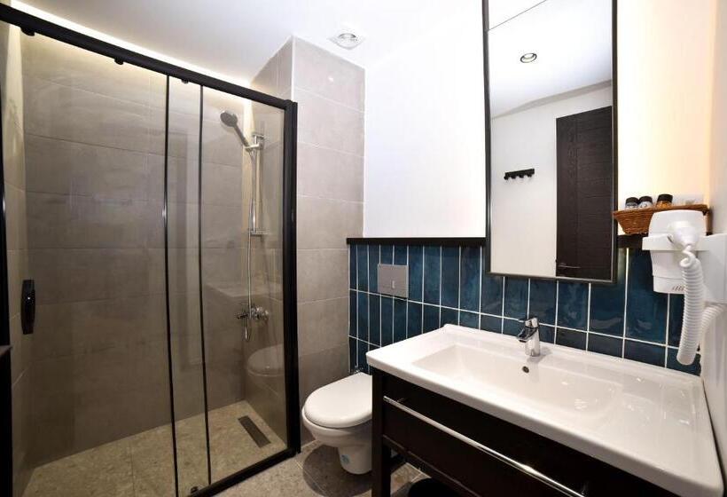 Pokój Standard Widok Ogród, Kotinos Beach