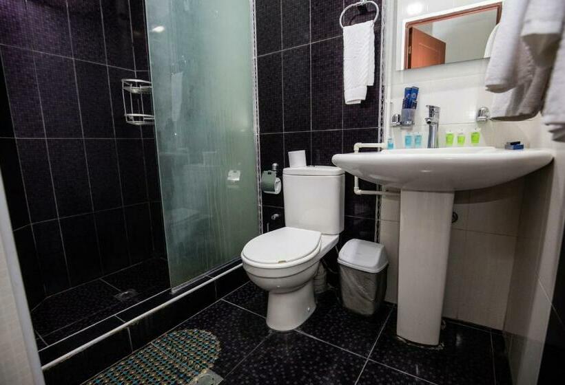 اتاق استاندارد, Tigran Mets Yerevan