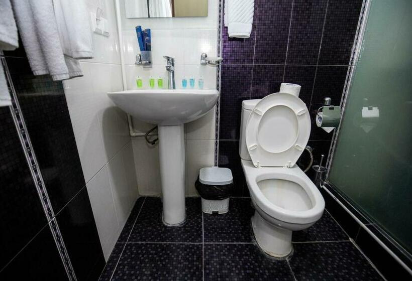 اتاق استاندارد, Tigran Mets Yerevan