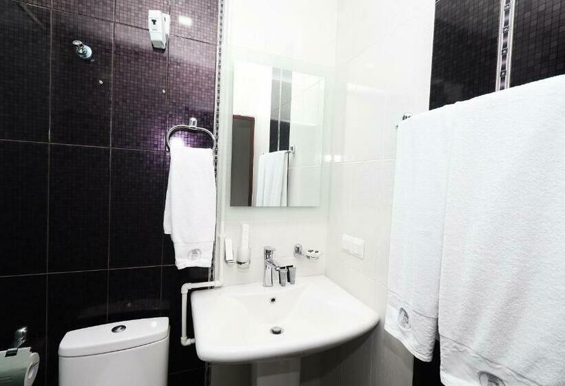 اتاق استاندارد, Tigran Mets Yerevan