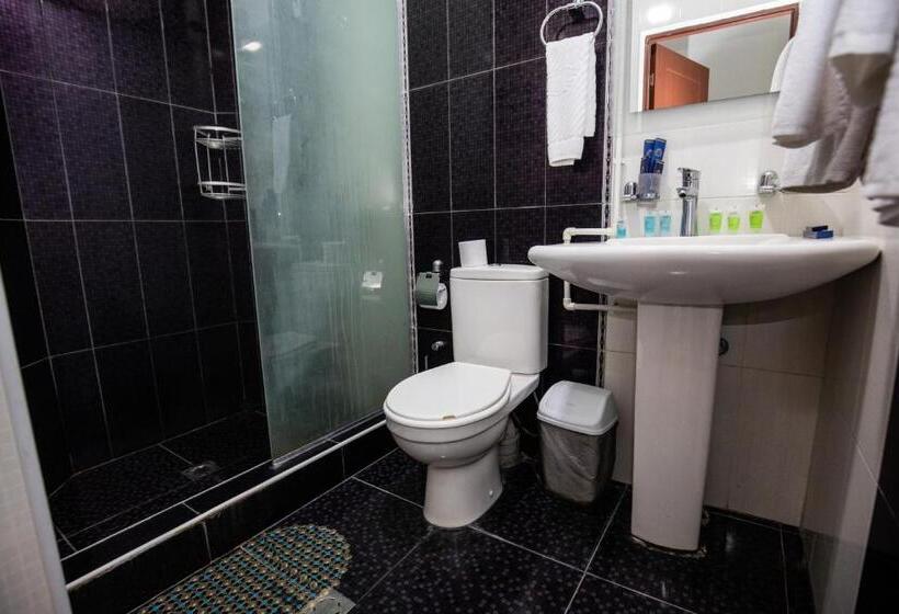 سوییت, Tigran Mets Yerevan