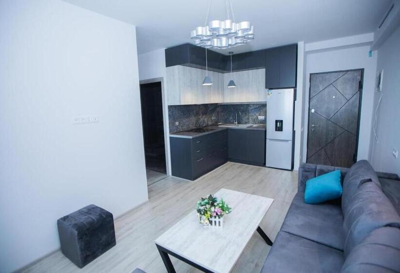 آپارتمان 1 خوابه با بالکن, Tigran Mets Yerevan