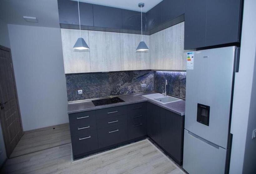 آپارتمان 1 خوابه با بالکن, Tigran Mets Yerevan