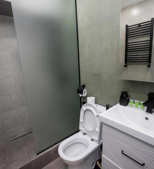 اتاق دوبلکس, Tigran Mets Yerevan