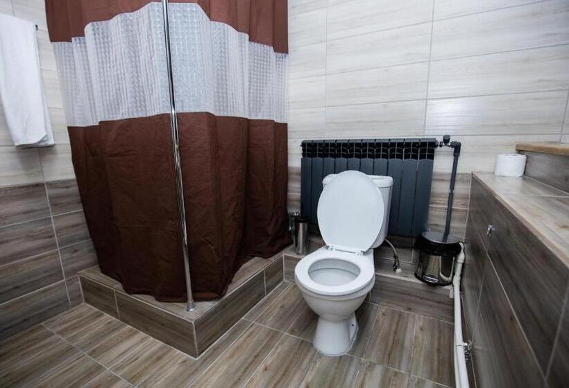 استودیوی لوکس, Tigran Mets Yerevan