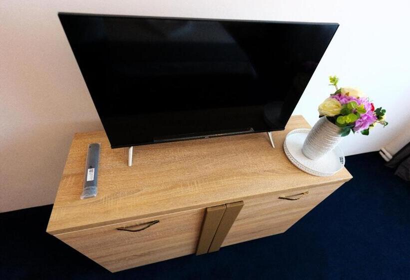 غرفة قياسية, Villa Ovidiu