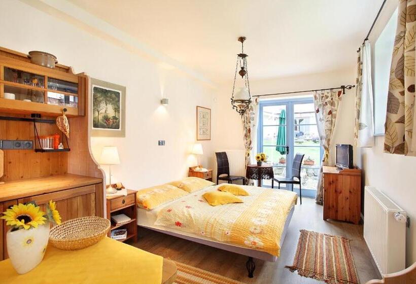 חדר סטודיו סטנדרד, Wellness Hotel Boží Oko