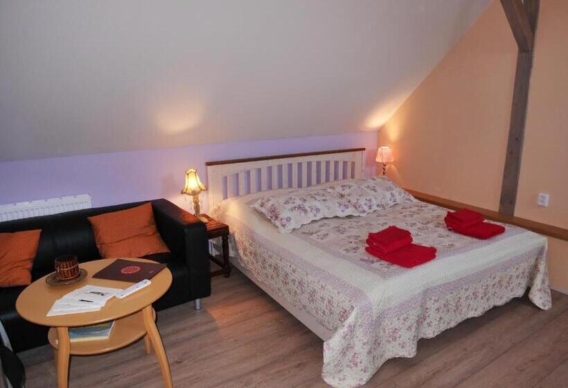 חדר סטודיו סטנדרד, Wellness Hotel Boží Oko