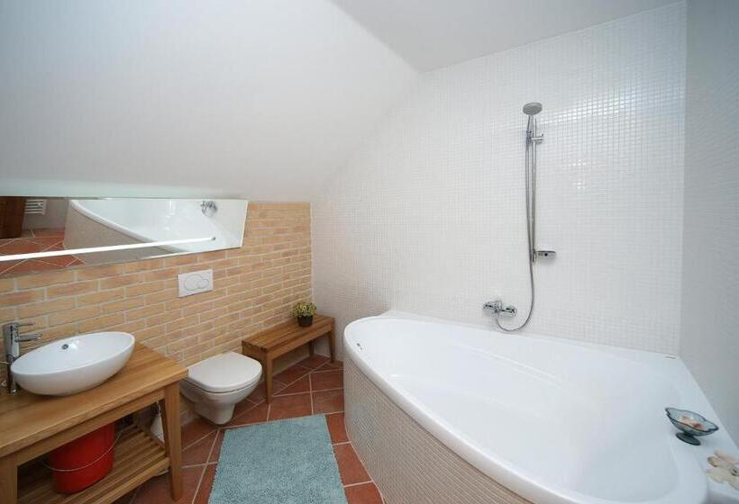 חדר סטנדרט, Wellness Hotel Boží Oko