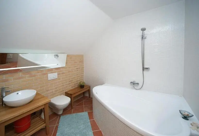 スタンダードルーム, Wellness Hotel Boží Oko