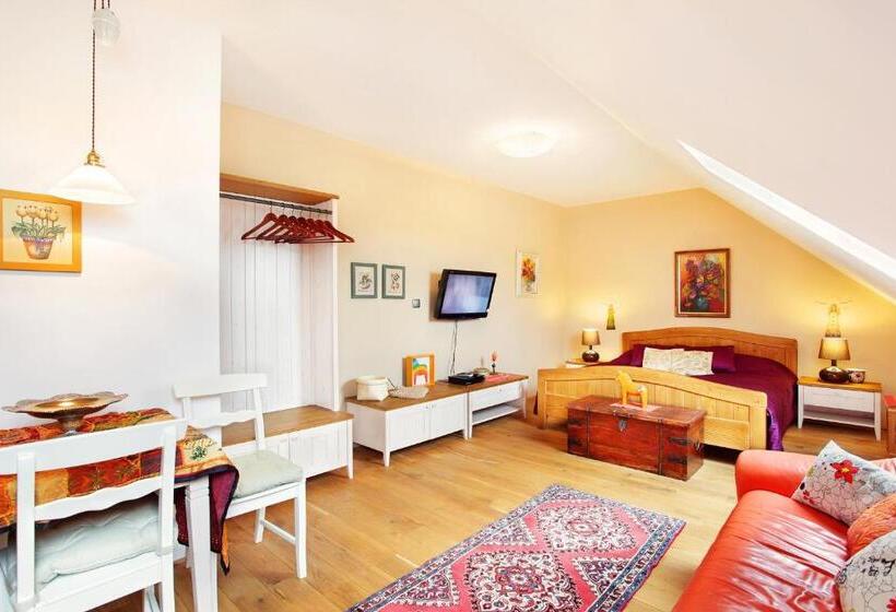 חדר סטנדרט, Wellness Hotel Boží Oko