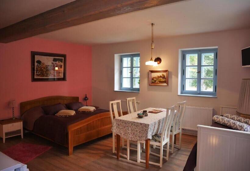 סטודיו סטנדרטי נוף לגינה, Wellness Hotel Boží Oko