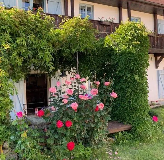 ２ベッドルームハウス, Wellness Hotel Boží Oko