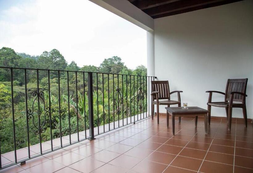 سوییت جونیور, Boutique Y Restaurante Panisté