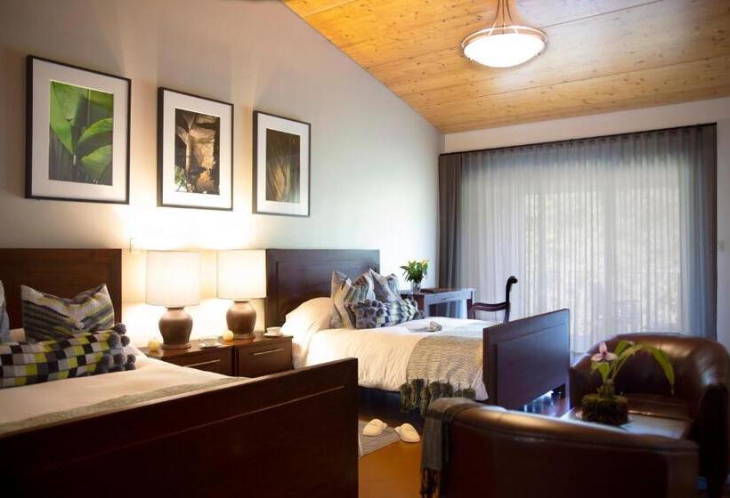 اتاق لوکس, Boutique Y Restaurante Panisté