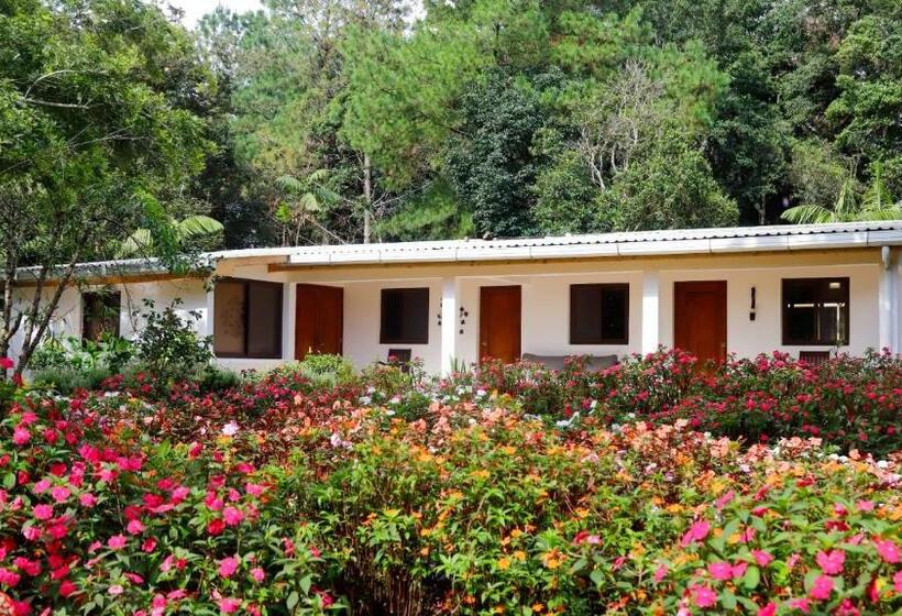 اتاق سوپریور خانوادگی, Boutique Y Restaurante Panisté