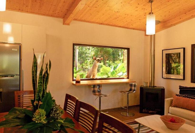 اتاق سوپریور خانوادگی, Boutique Y Restaurante Panisté