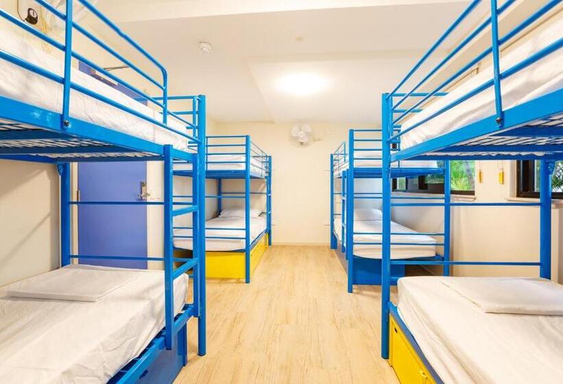 공동 객실, Global Backpackers Cairns