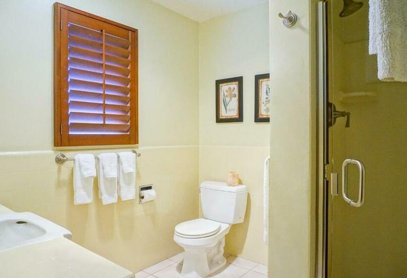 غرفة قياسية سرير كينج, Brisas Del Mar Inn At The Beach