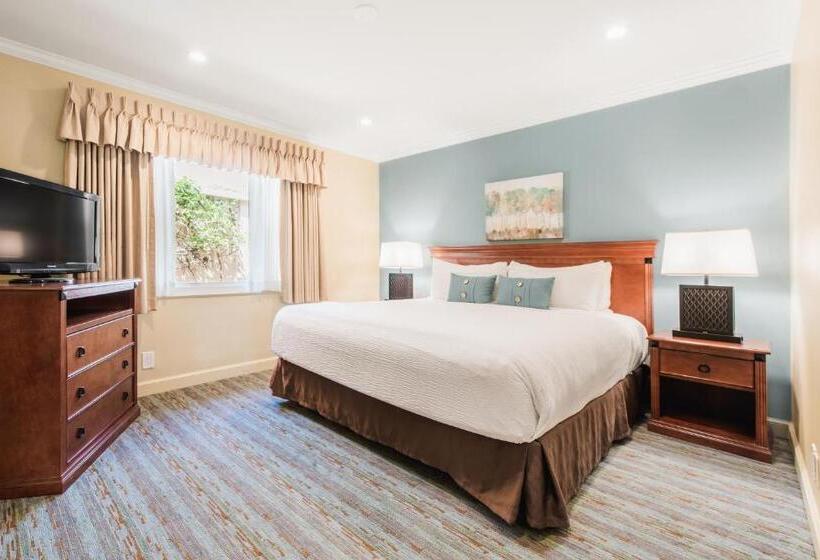 جناح سرير كينج, Brisas Del Mar Inn At The Beach