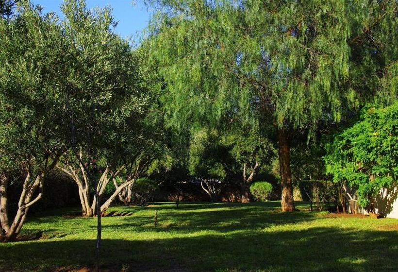 וילה עם חדר שינה אחד ובריכת שחיה, Essaouira Lodge