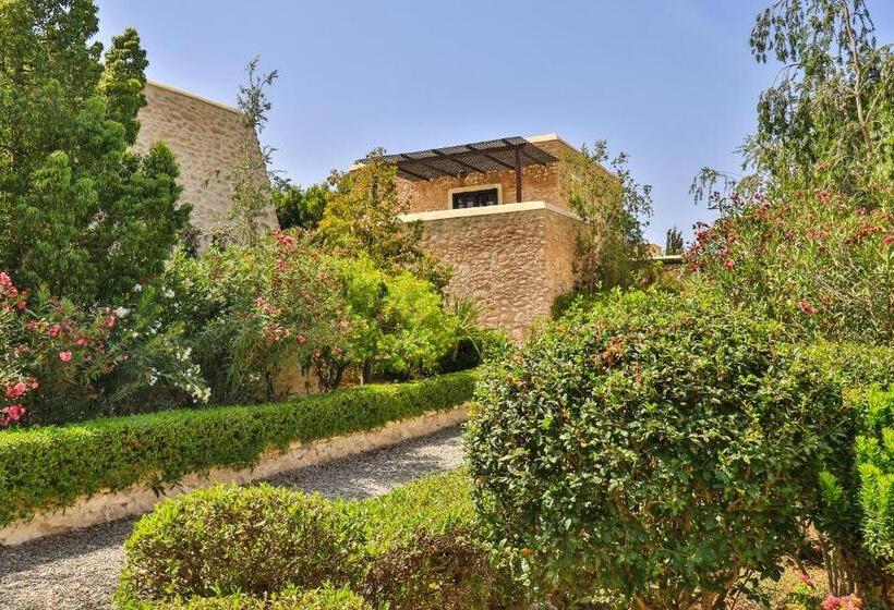 테라스 주니어 스위트, Essaouira Lodge