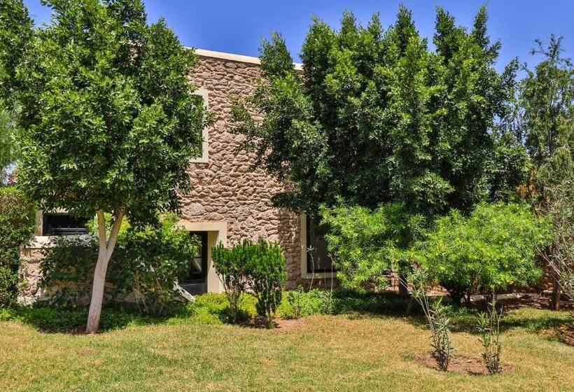 דירת 2 חדרים עם טרסה, Essaouira Lodge