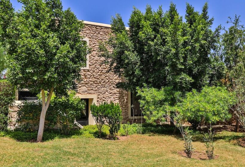 דירת 2 חדרים עם טרסה, Essaouira Lodge