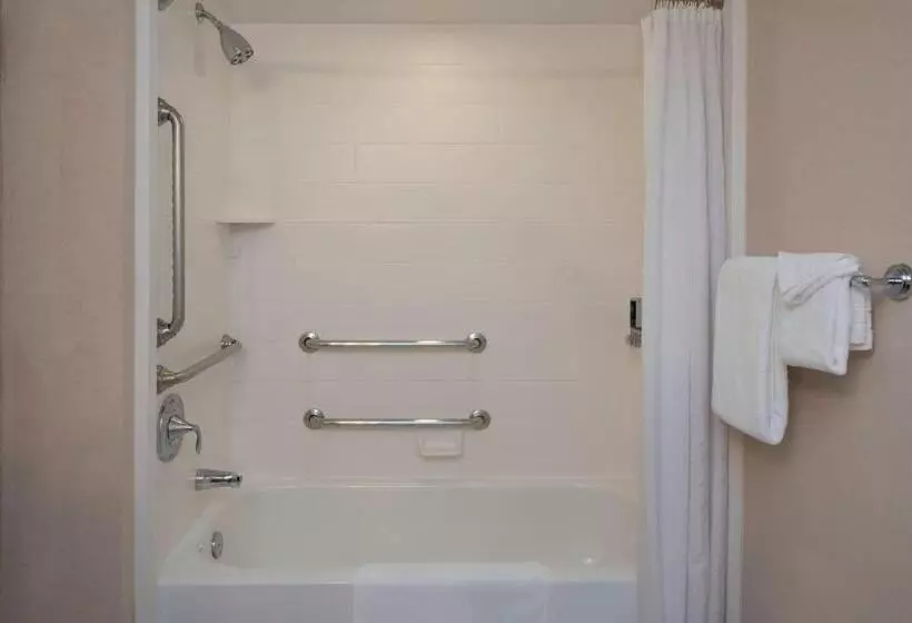 キングサイズベッドのスタンダードルーム, Sheraton Nashville Brentwood