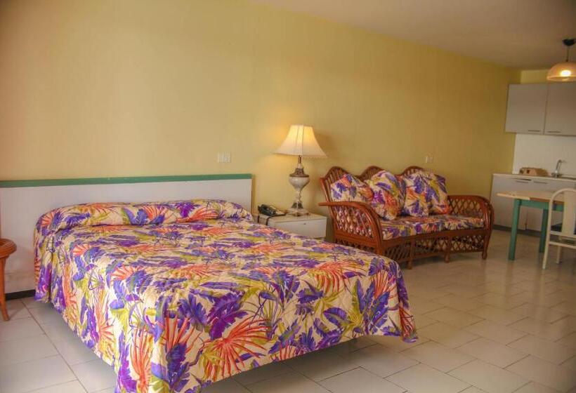 استودیوی استاندارد, Heritage