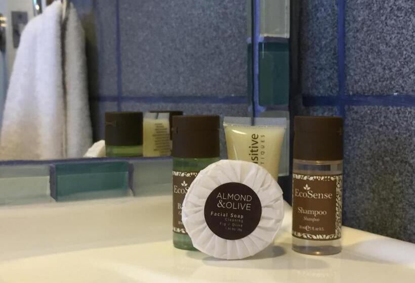 スタンダードシングルルーム, Doble E Patagonia