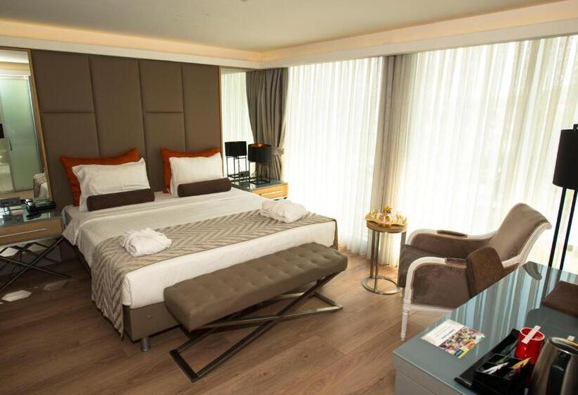 سوییت جونیور با چشم‌انداز دریا, Manesol Old City Bosphorus