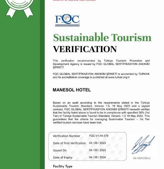 سوییت جونیور با چشم‌انداز دریا, Manesol Old City Bosphorus