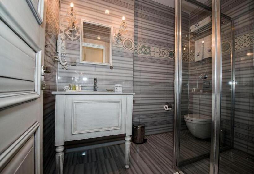 اتاق استاندارد, Manesol Old City Bosphorus