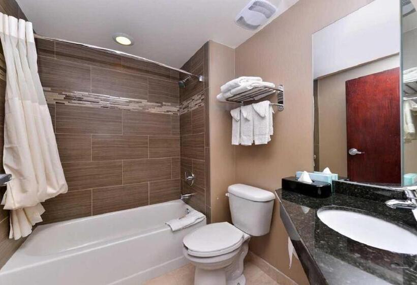 Стандартный Номер Кровать Кинг, Quality Inn & Suites Matteson Near I57