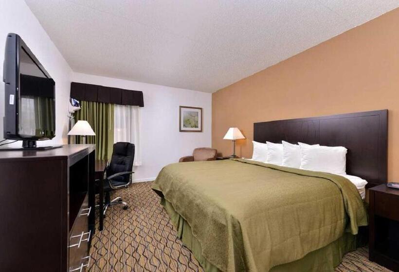 Стандартный Номер Кровать Кинг, Quality Inn & Suites Matteson Near I57