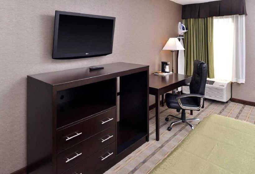キングサイズベッドのスタンダードルーム, Quality Inn & Suites Matteson Near I57